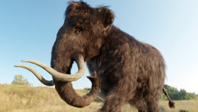 A 52,000-Year-Old Piece of Woolly Mammoth 'Jerky' Is Being Called a 'Game-Changer' by Scientists (News Science)