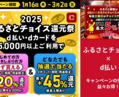 ふるさとチョイスで+20％還元（はじめて・お久しぶり）、抽選で+最大45%還元（誰でも）、d払い・dカード決済で初寄付で（3/2まで）