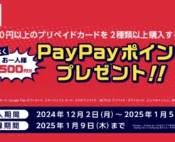 セブンイレブンでプリペイドカード2種類以上購入で、最大500円分のPayPayポイントプレゼントキャンペーン（1/5まで）