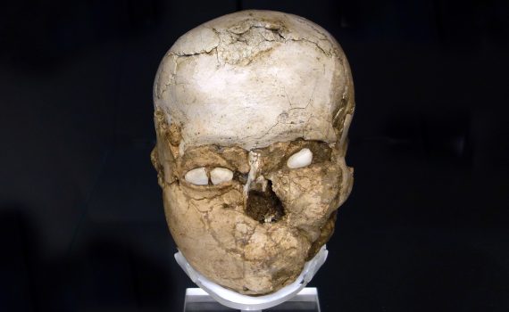 The Jericho Skull