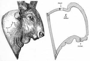 Sir Arthur Evans, profile and section of Bull's head rhyton from the palace at Knossos