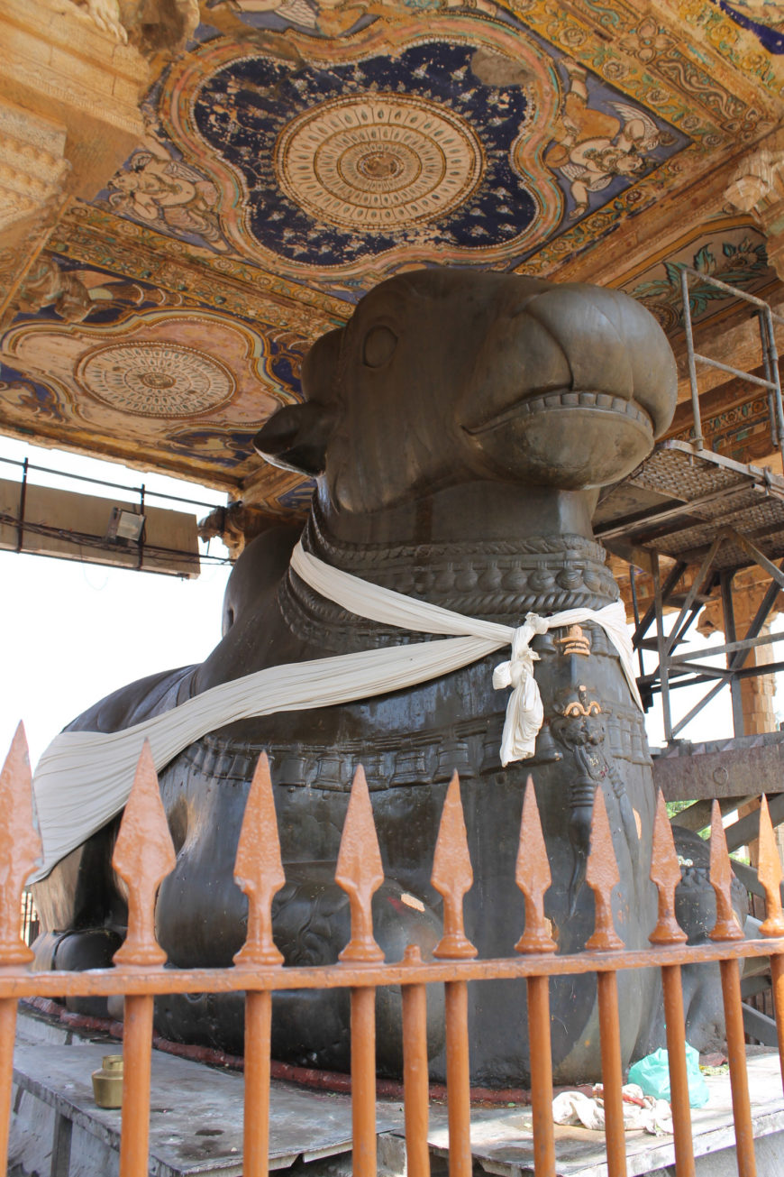 Nandi, Rajarajesvara temple, c. 16th – 17th centuries, Nayak period, Tanjavur, Tamil Nadu (photo: Thamizhpparithi Maari, CC BY-SA 3.0)