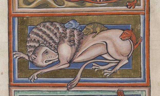 Lion (detail) in a bestiary, about 1225–50, unknown illuminator, made in England, parchment, 11 5/8 × 7 1/2 inches (The Bodleian Libraries, University of Oxford, Ms. Bodl. 764, fol. 2v)