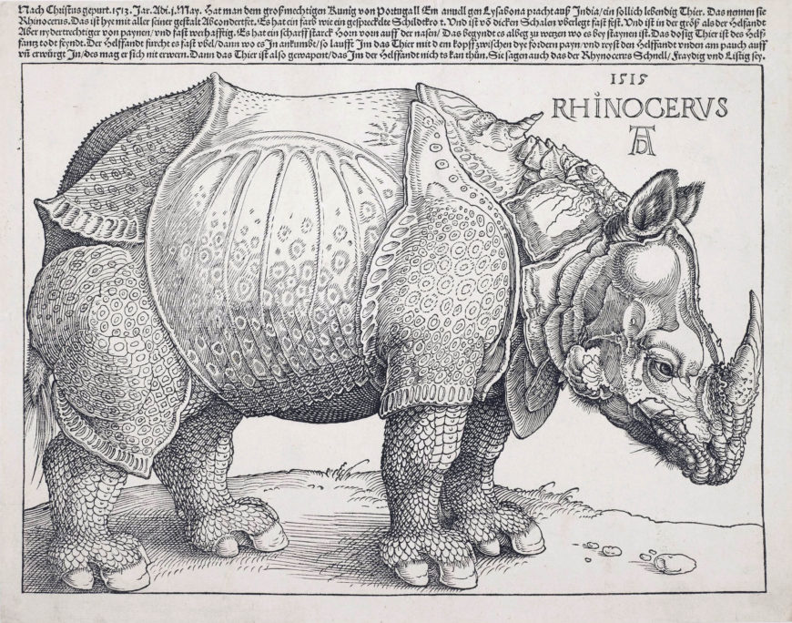 Albrecht Dürer, Rhinoceros, 1515 woodcut and letterpress, 21.2 cm x 29.6 cm (© The Trustees of the British Museum)