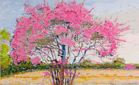 Brummett Echohawk, <em>An Island of Redbuds on the Cimarron</em>