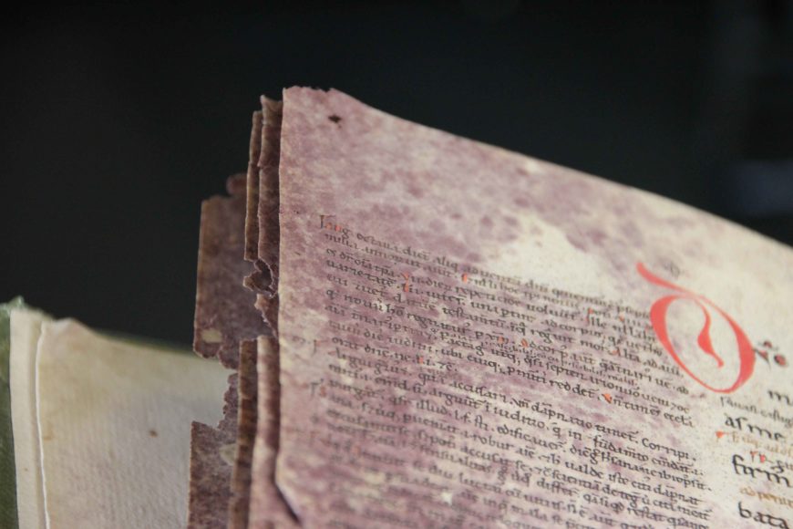 Mold has attacked these pages and turned them purple, in an almost beautiful way. Leiden, University Library, BPL MS 2896, 12th century (photo: Erik Kwakkel)