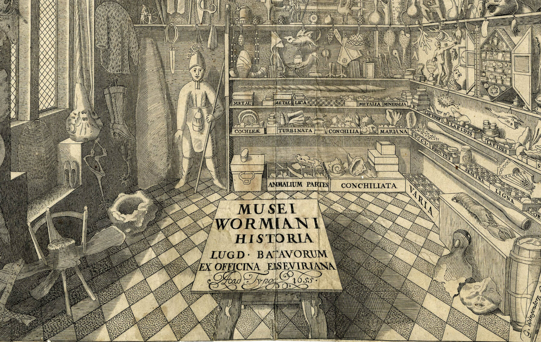 Ole Worm, <em>Museum Wormianum</em>