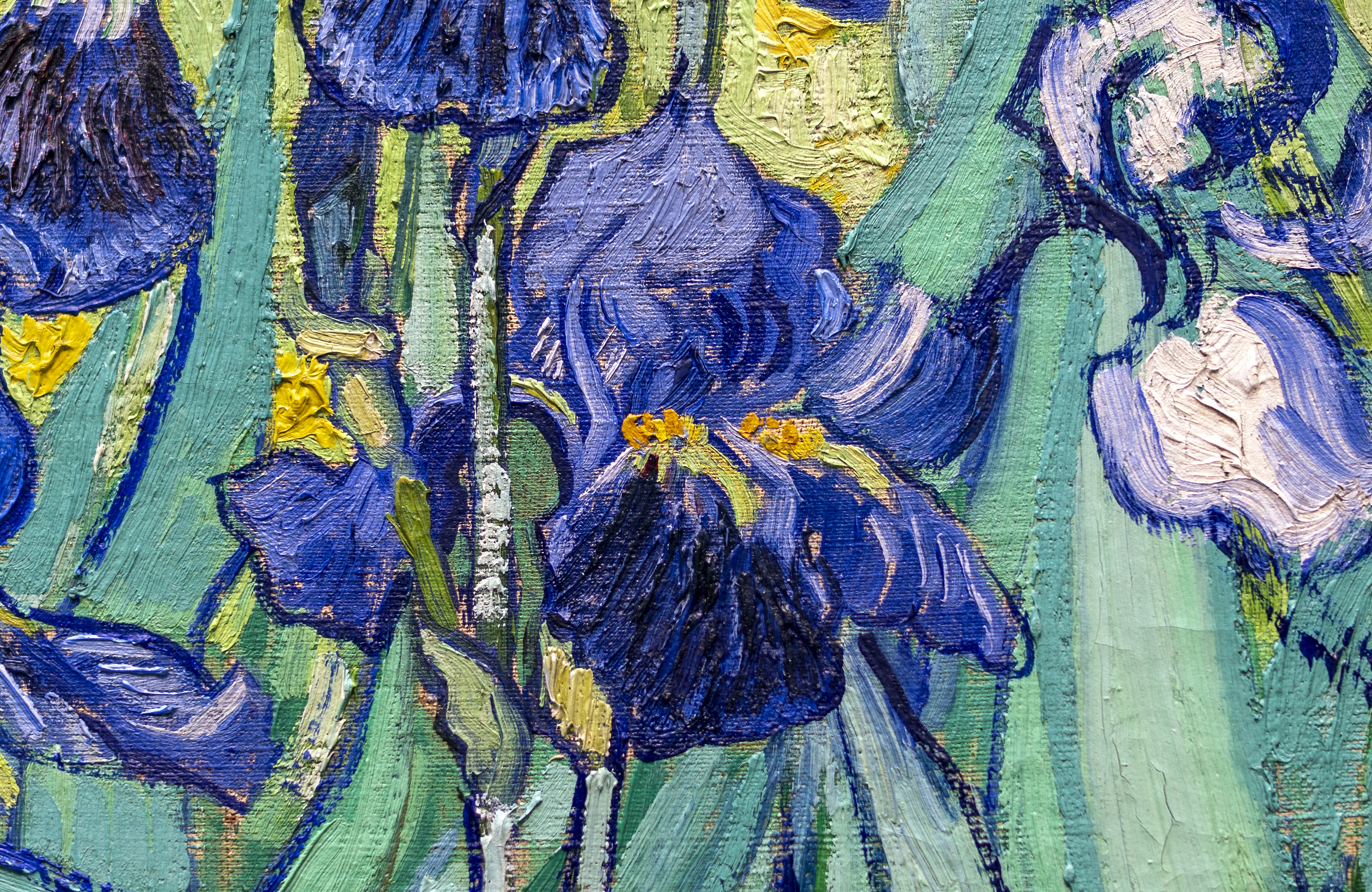 Vincent van Gogh, <em>Irises</em>: the search for violet<br> Getty Conversations