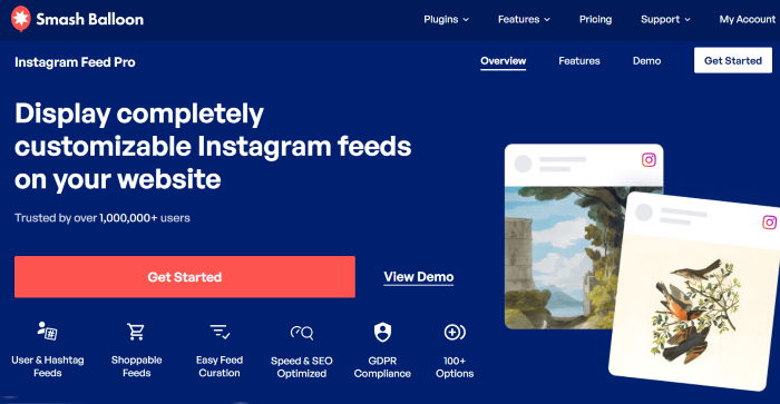 best instagram feed pro plugin