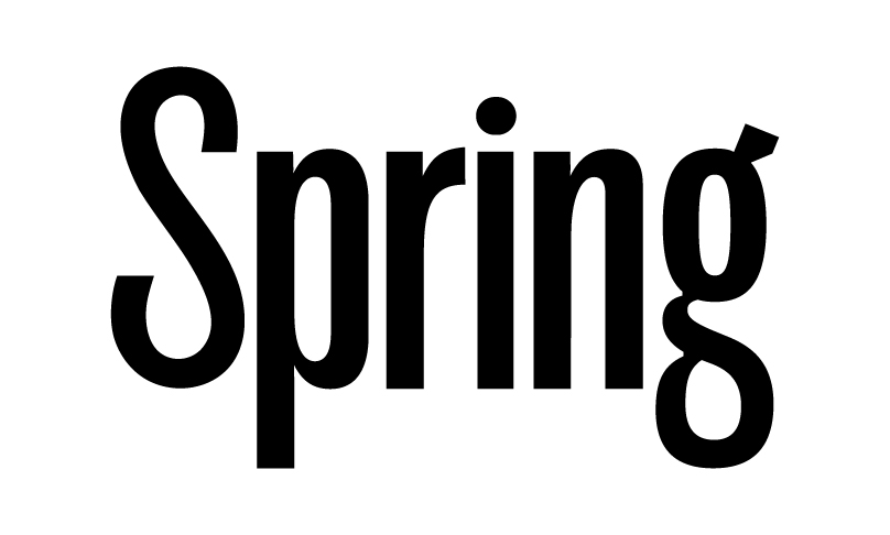 7 - Catalyst - Spring_Logo_Black