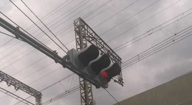 Bird poop disables 25,000 traffic signals in Nagano