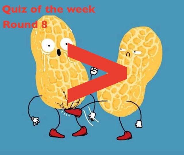 Quiz of the Week: Round 8 (More fun than a swift kick in the nuts)