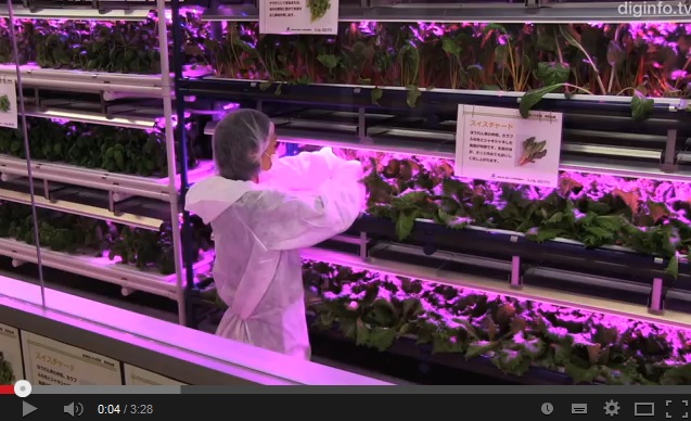 LED plant factories offer efficient 3D alternative to traditional gardening