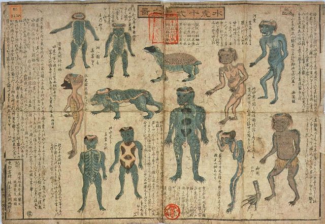 Bones of mythical Japanese water demon to go on public display