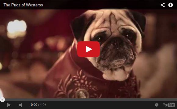 Pugs take over Westeros in Game of Thrones video parody…because why not?