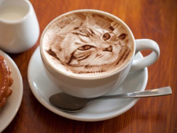 Ultra-realistic cat latte art blows us away, puts us off our coffee