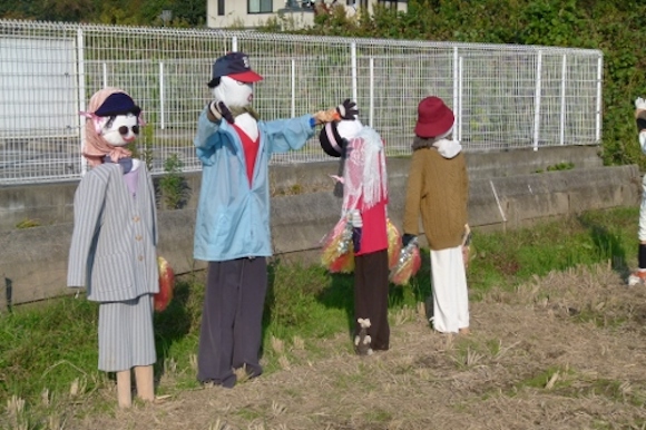 2014.11.24 scarecrows yahoo blog 1