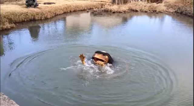 Hyogo town scares children away with mechanical kappa in park’s pond