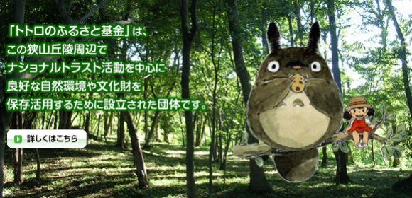 Totoro2