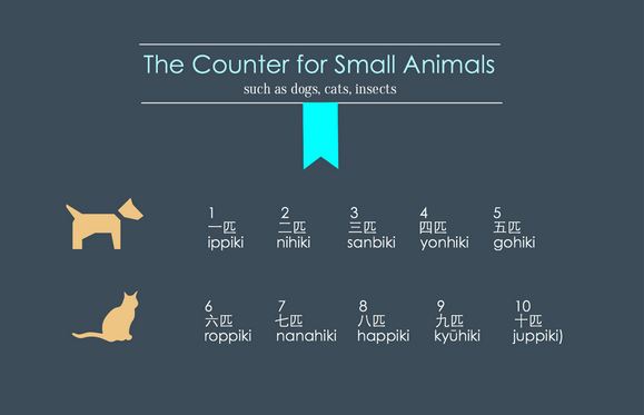 Counting in Japanese just became a whole lot easier with this handy infographic