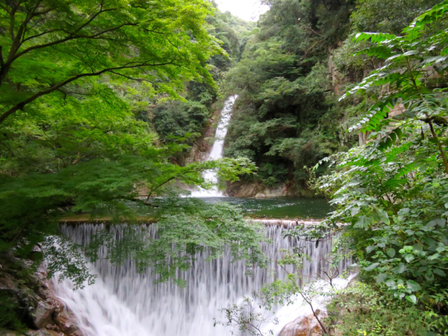 Five nature hikes and trail runs just off Japan’s bullet train