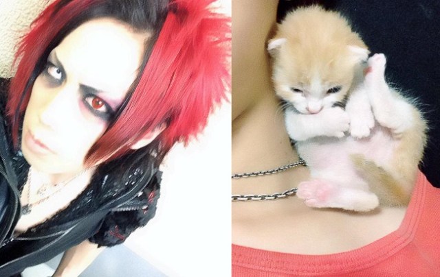 Drummer for visual kei band evokes smiles online with photos of adorable rescue kitten