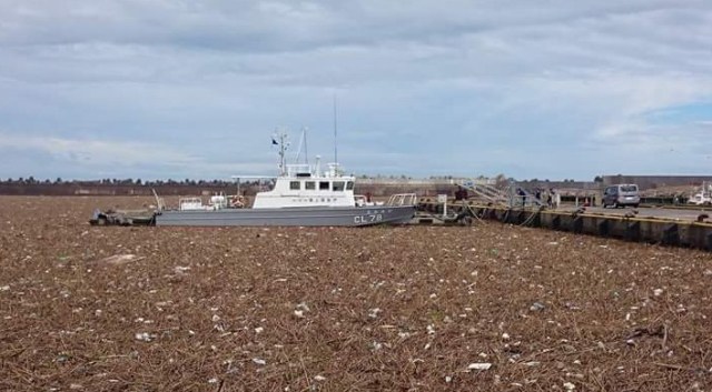 Chiba ports become literal sea of garbage following last week’s severe flooding【Pics】