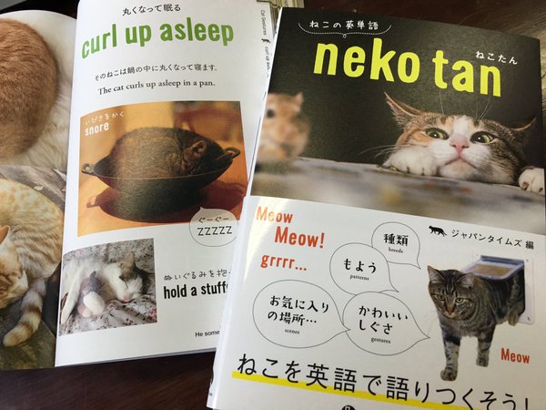 Japanese book “nekotan” teaches foreign language the best way possible: by talking about cats