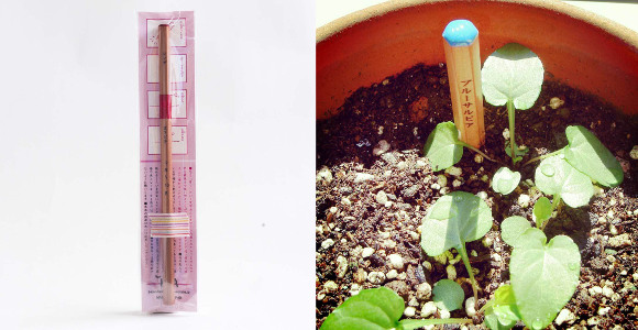 Japanese stationery now sprouts herbs in your garden with the Blooming Pencil