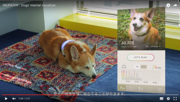 “INUPATHY” collar tells you what your dog is thinking via colors and phone messages【Video】