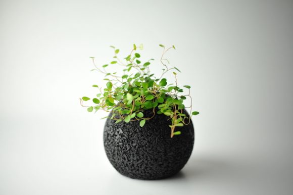 “Eco-pochi” indoor plants will add style to your home and remove stinky smells, too!