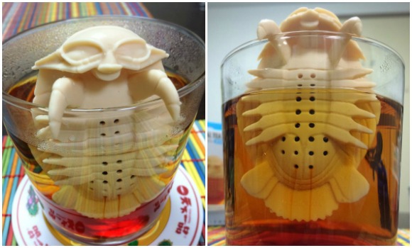 Would you drink tea made by a giant isopod? 【Pics】