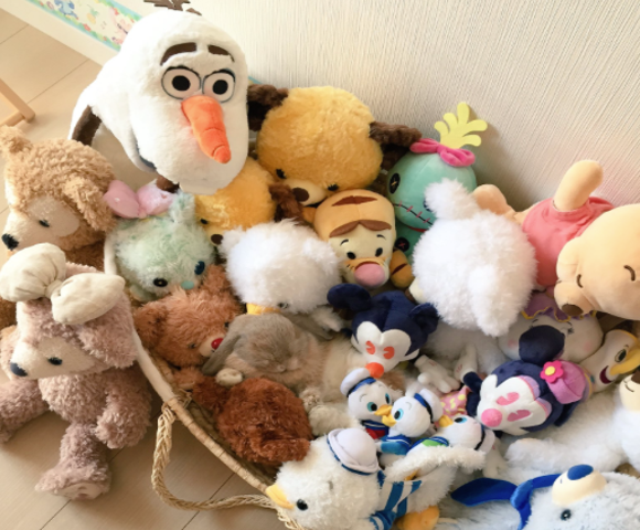 Japanese pet creates adorable “Where’s Waldo?” game by napping in pile of soft animals