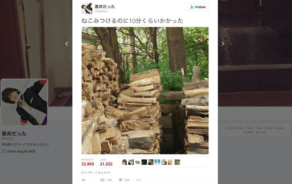 Can you spot the cat? The picture puzzling the world is now driving Japanese people crazy too!