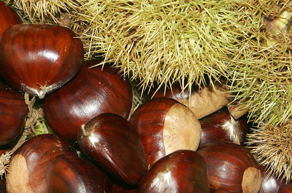 Japanese snack maker releases boxes of chestnuts peeled by hot guys