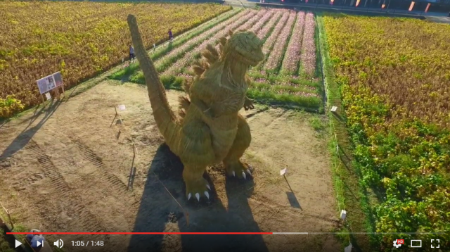 Gigantic straw Godzilla sculpture appears in Japan – establishes itself as King of Straw-nsters 【Pics】