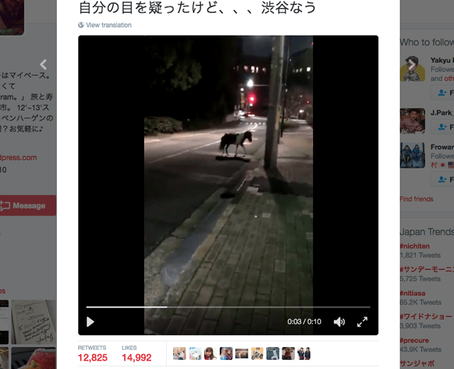 Pony runs through Shibuya after escaping pet shop 【Video】