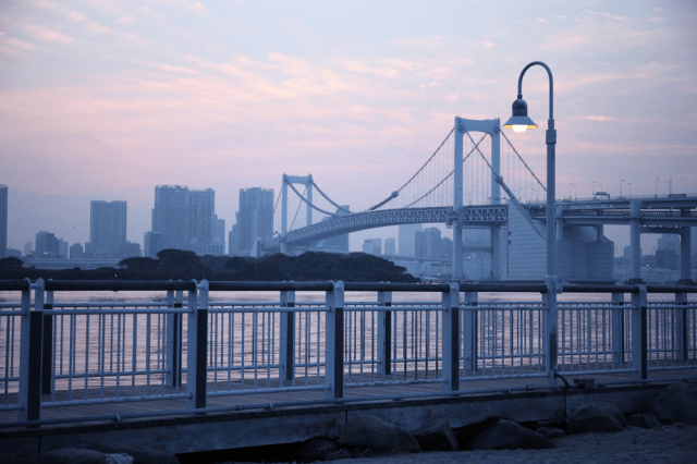 Tokyo ranked as most livable city in the world in annual survey