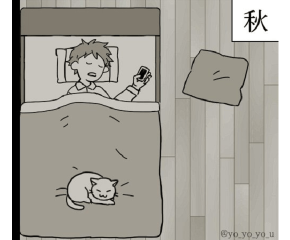 “Feeling the seasons through cats” manga warms the heart by showing how pet kitty warms itself