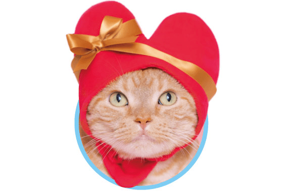 Japan now has heart hats for cute cats to wear this Valentine’s Day