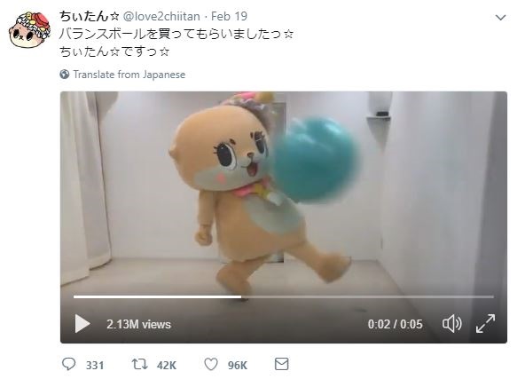 Chiitan the otter mascot poised for mainstream success with fun videos of everyday tasks