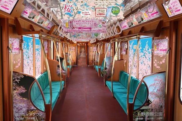 Enjoy hanami cherry blossom viewing on the Ginza Line Sakura Train in Tokyo