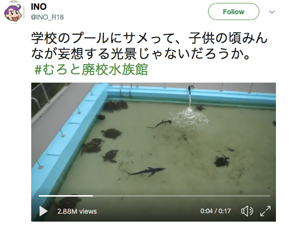 Japanese town suffers population decline, turns its local elementary school into an aquarium