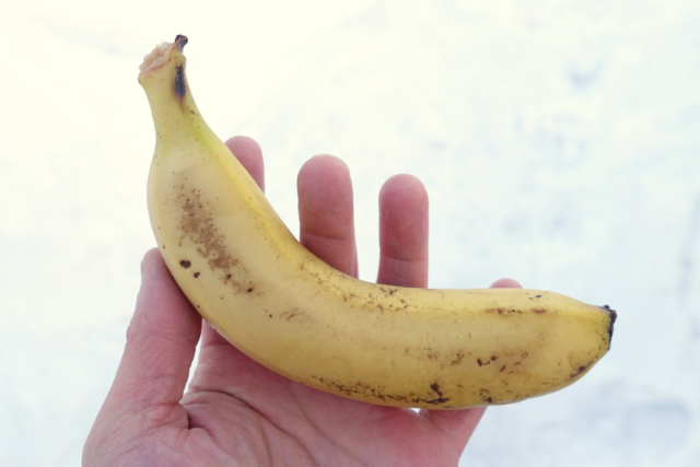 Is it cold enough in Hokkaido for banana hammers?