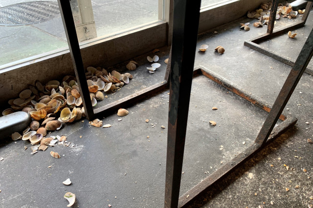 We visited a tempura shop that allowed customers to discard miso soup clam shells on the floor