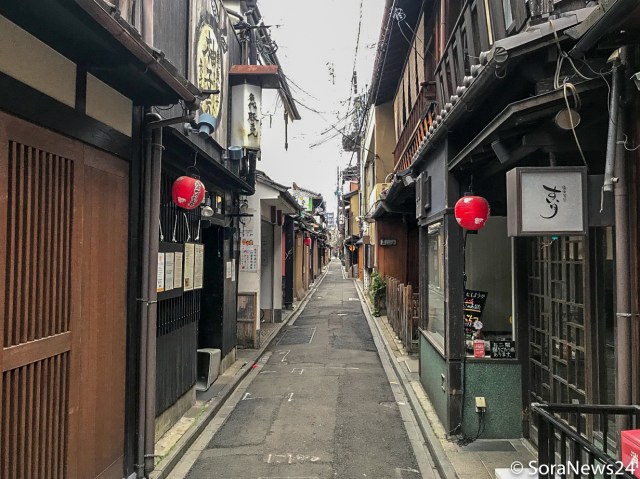 Visit top Kyoto sites and escape the crowds with new early-morning sakura sightseeing campaign