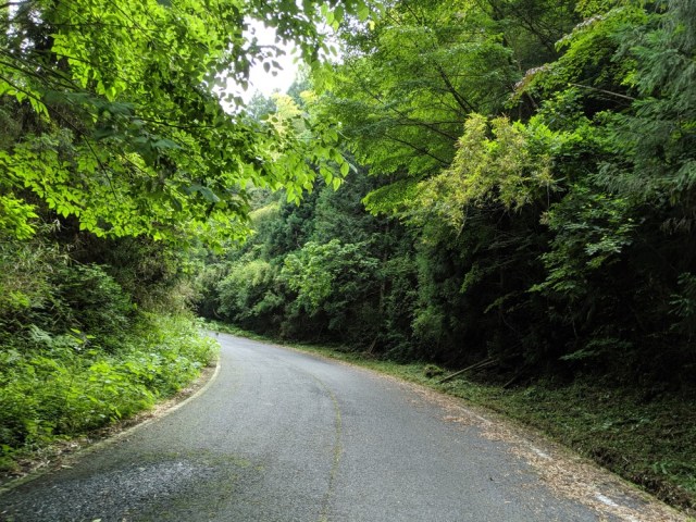 In search of the mysterious “Space Station” on a remote mountain in Yamaguchi Prefecture