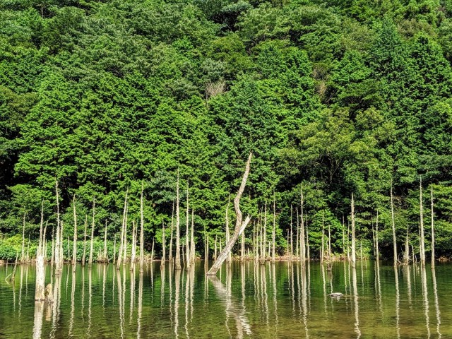 Japan Travel: Mysterious landscape found near a park with severed heads