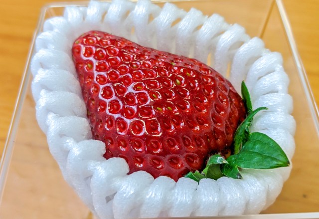 What it’s like to eat a super expensive Japanese strawberry【Taste Test】