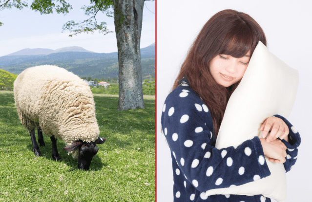 Counting sheep to get to sleep may work after all, unless you speak Japanese